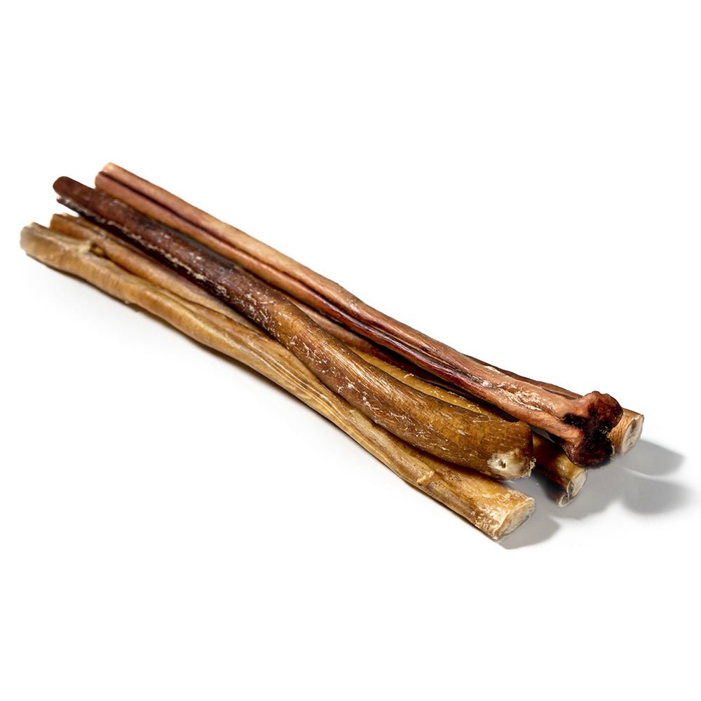 12" Jumbo Bully Stick