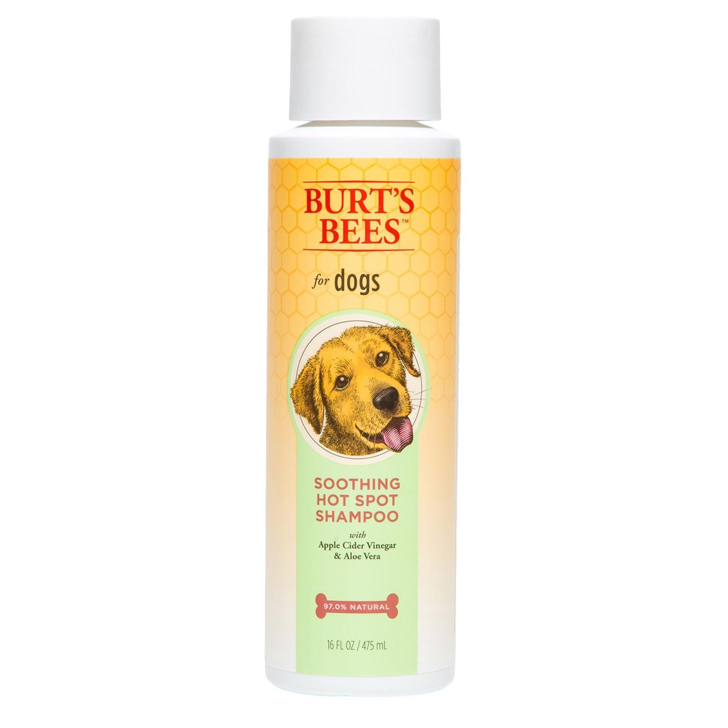 BURT'S BEES Hot Spot Shampoo - 16 oz