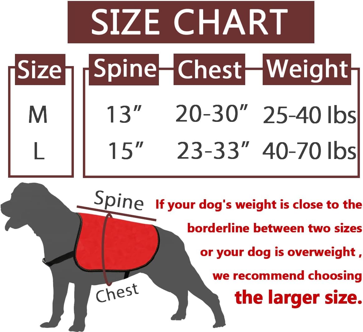 Jacket/Vest (Large) - "Blind Dog"