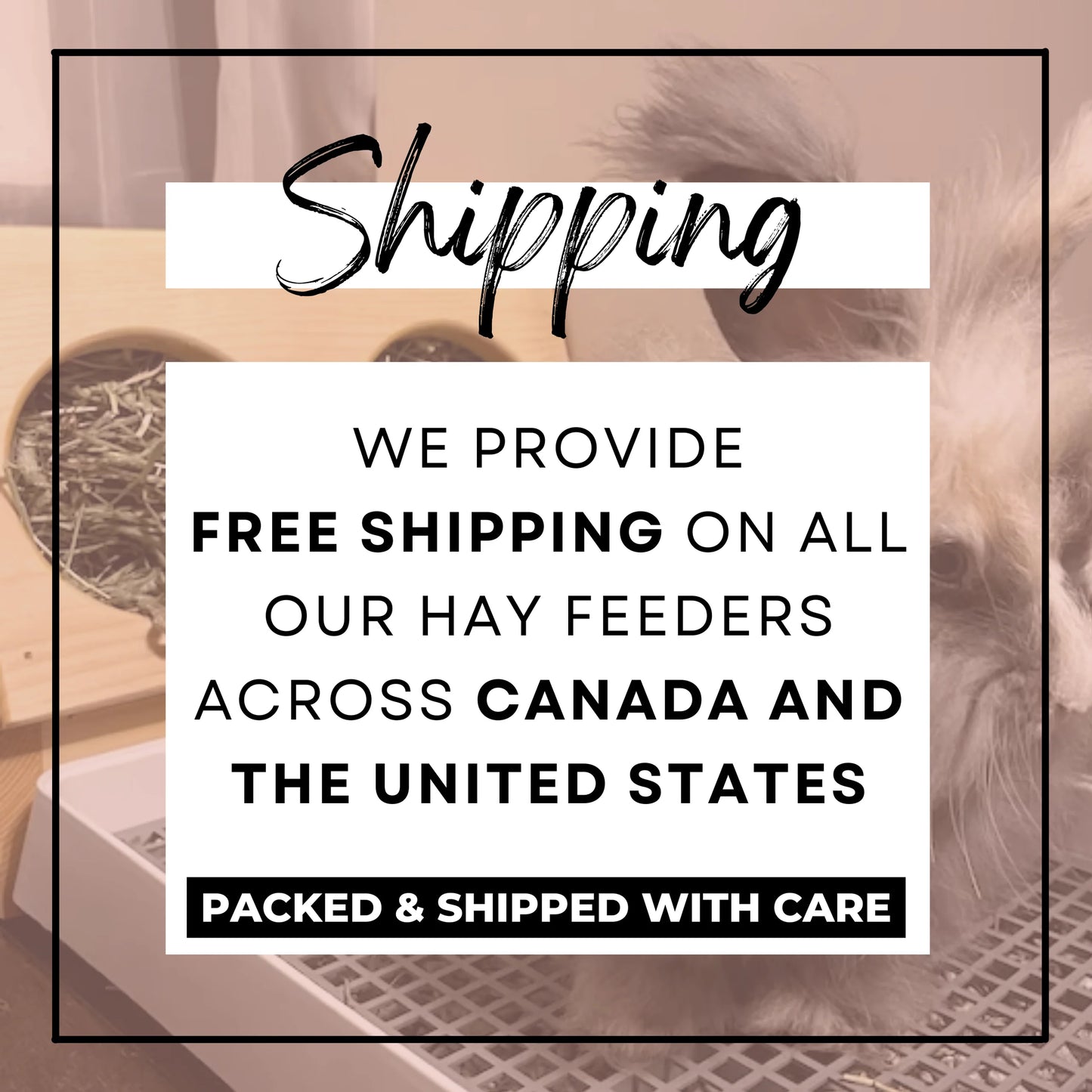 Double Hole Hay Feeding Station