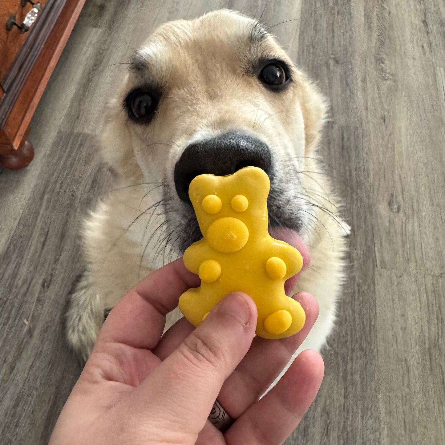 BOSCO & ROXY'S Dog Cookie - Gummy Bear