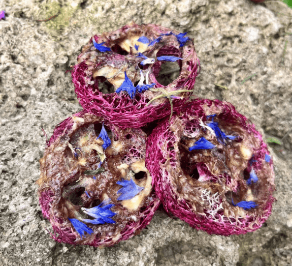 Hibiscus Cornflower Banana Flavoured Loofah Chew