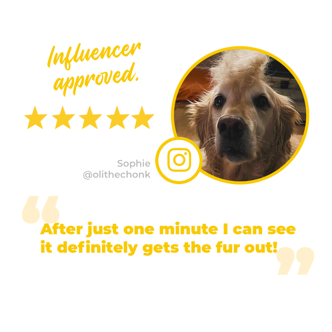 The Bailey Brush™ Cat & Dog Brush (Pawmelo)