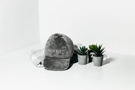 PAWTY ANIMALS Eco-Friendly Pawritzia Hat Dog Toy