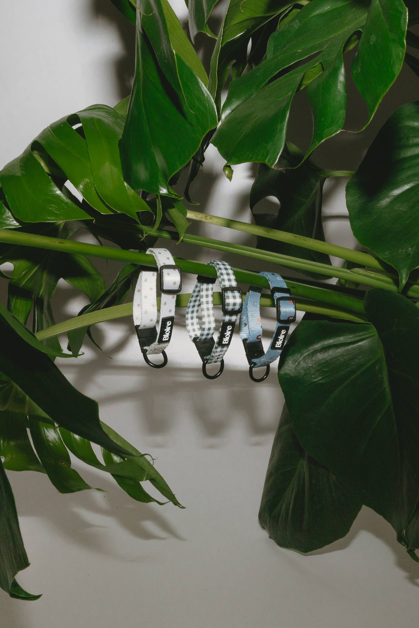 BLOIRE Collar - Green Plaid