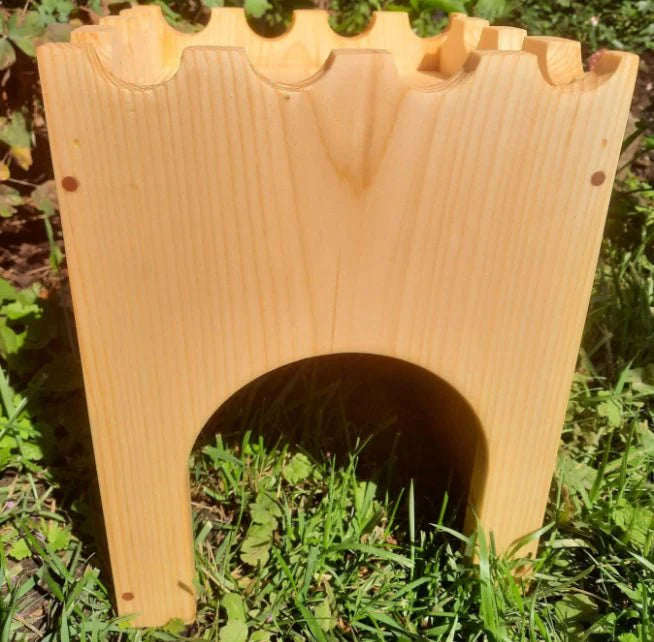 Rabbit Castle with Bridge