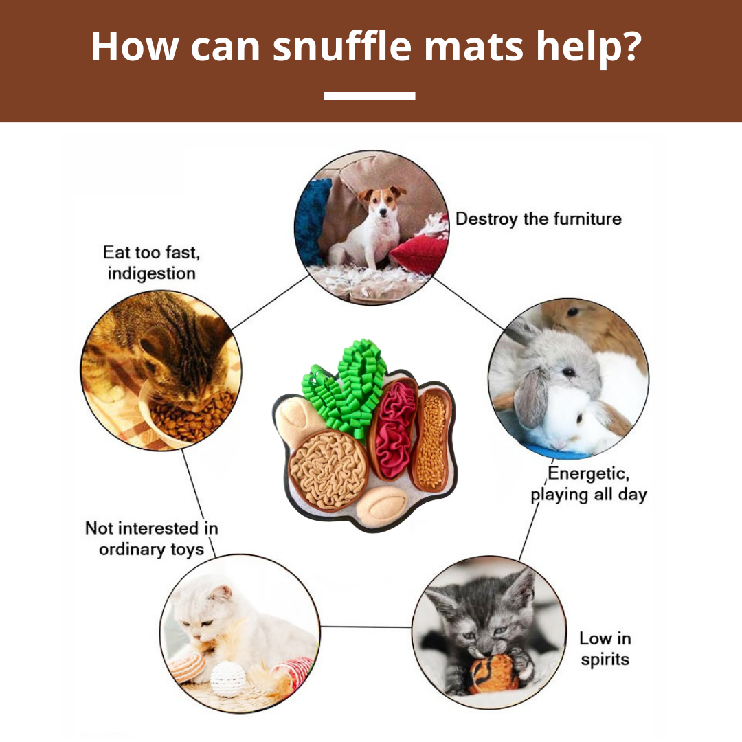 Chonky Peanuts™ Snuffle Mat