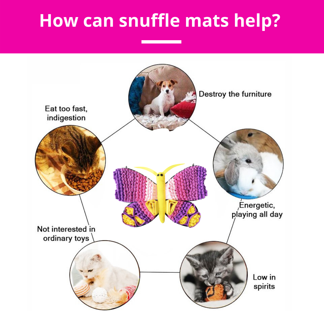 Radiant Butterfly™ Snuffle Mat