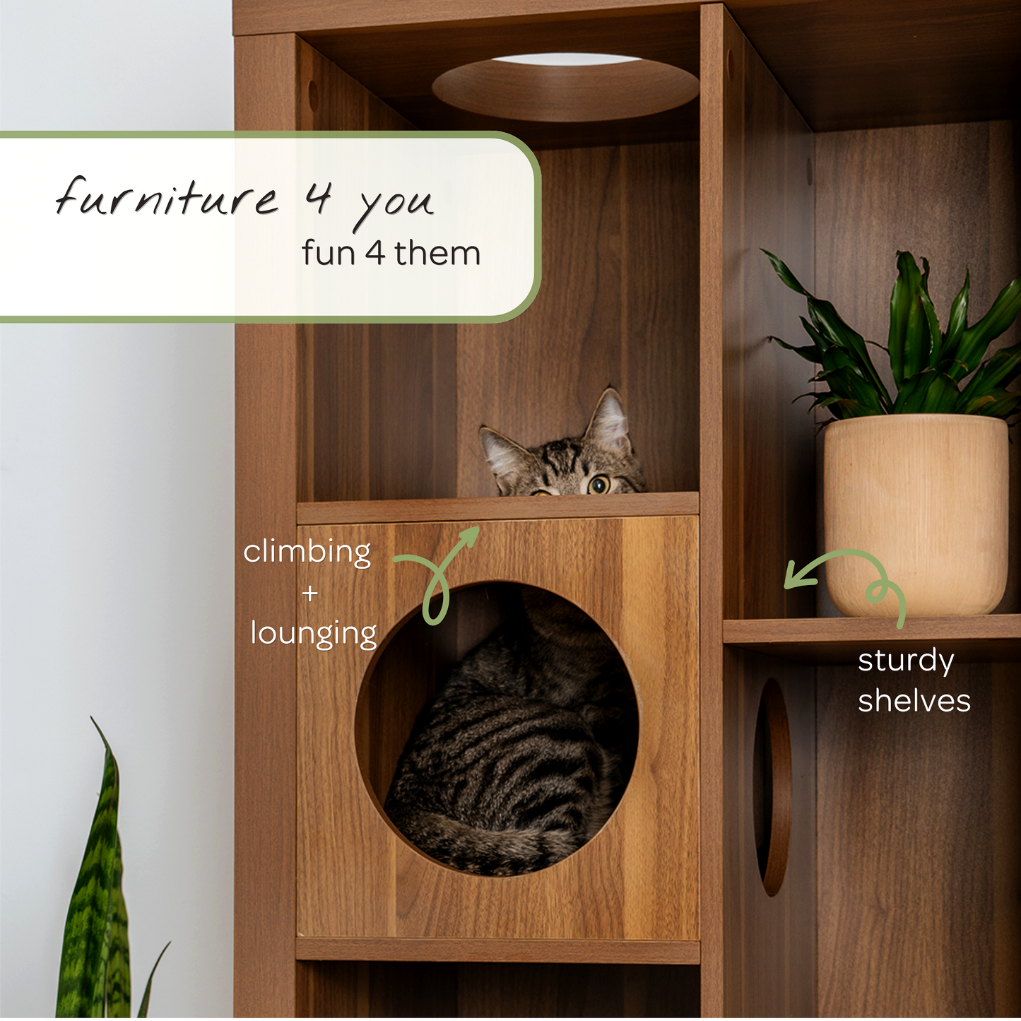 cliff jr.- cat tree bookshelf