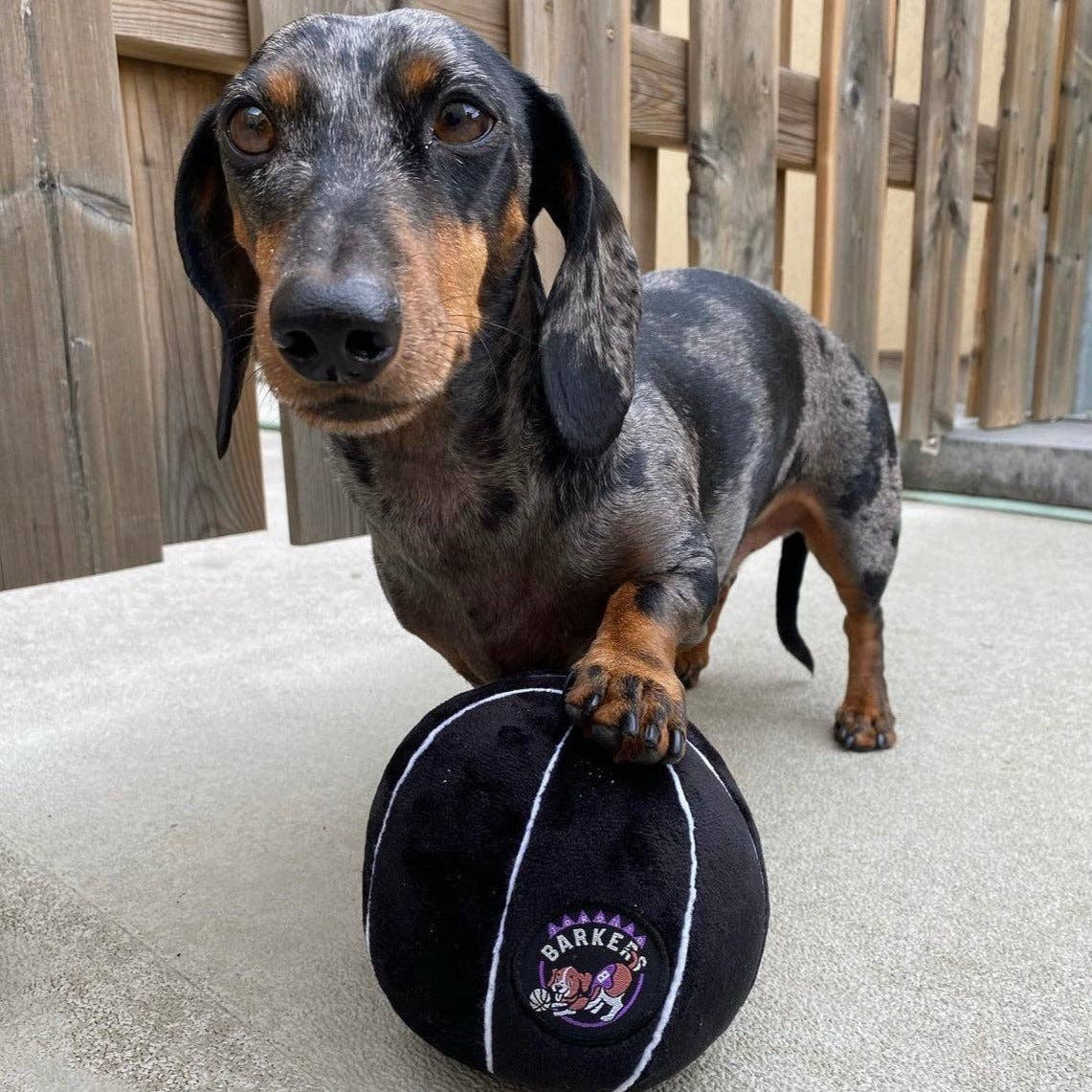 PAWTY ANIMALS Sports Fanatics Pack Dog Toys