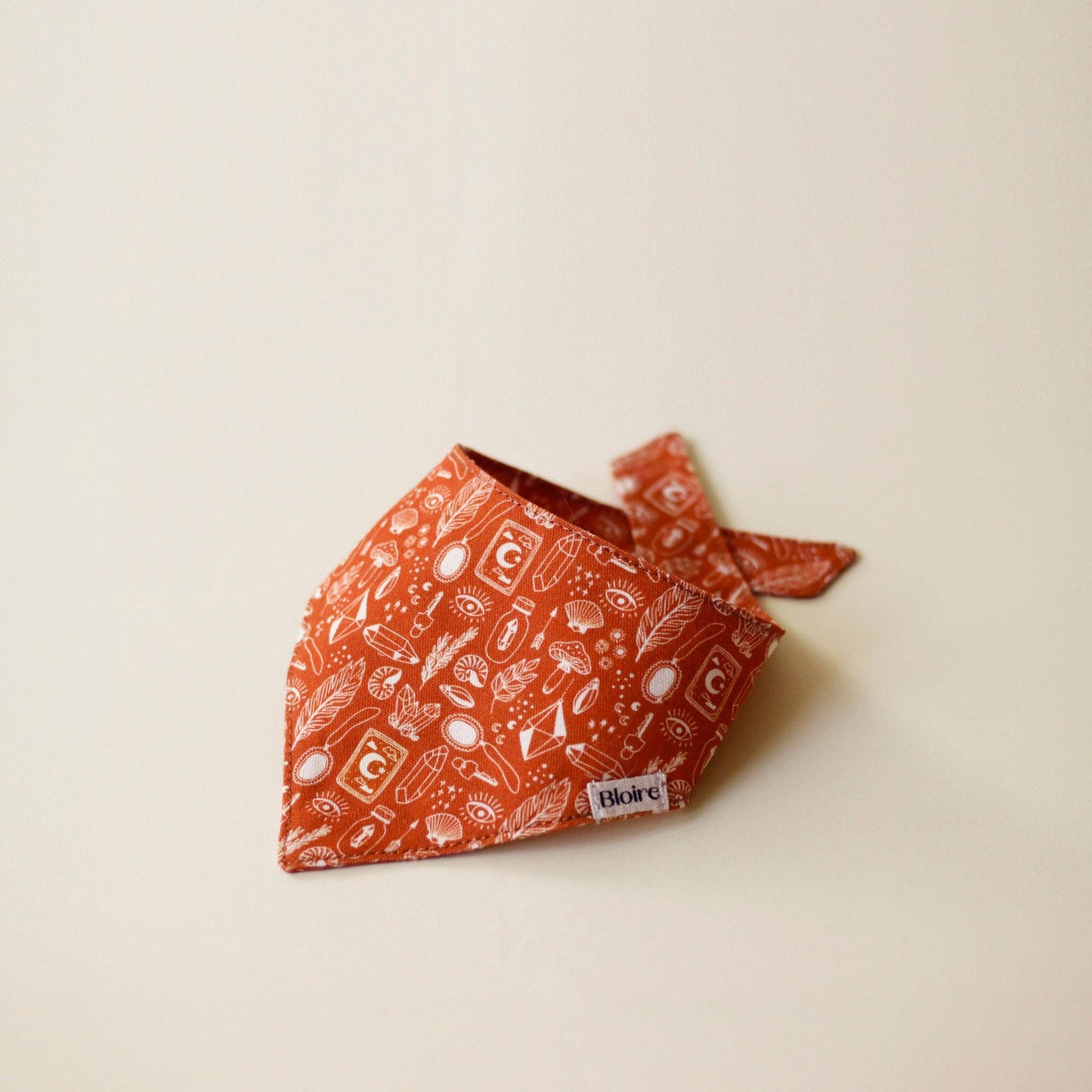 BLOIRE Bandana - Pumpkin Tarot