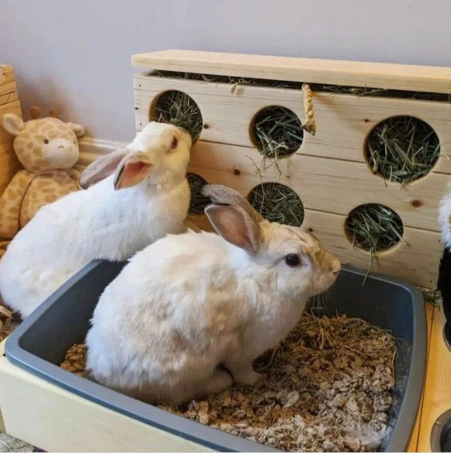 Six Hole Rabbit Hay Feeder & Litter Pan Combo