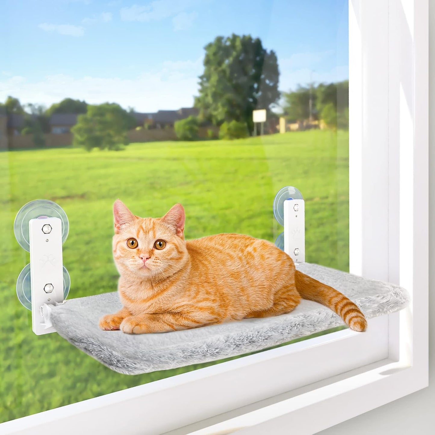 AMOSIJOY Cordless Cat Window Perch w/ Suction Cups