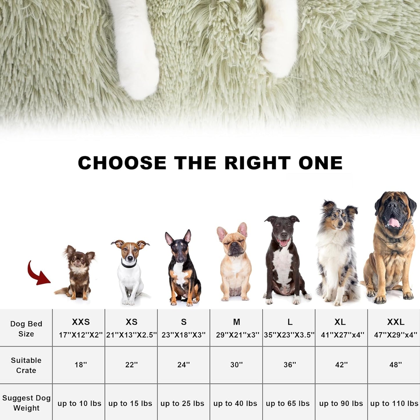 BEDFOLKS Waterproof Dog Bed - Sage Green (47" x 29")