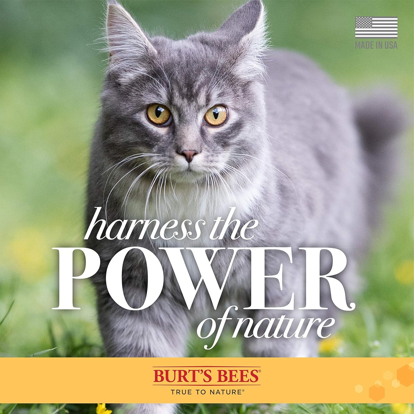 BURT'S BEES for Cats Natural Dander Reducing Wipes 50ct
