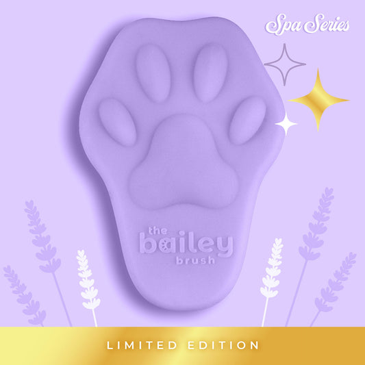 The Bailey Brush™ Cat & Dog Brush (Lavenpurr Spa Edition)