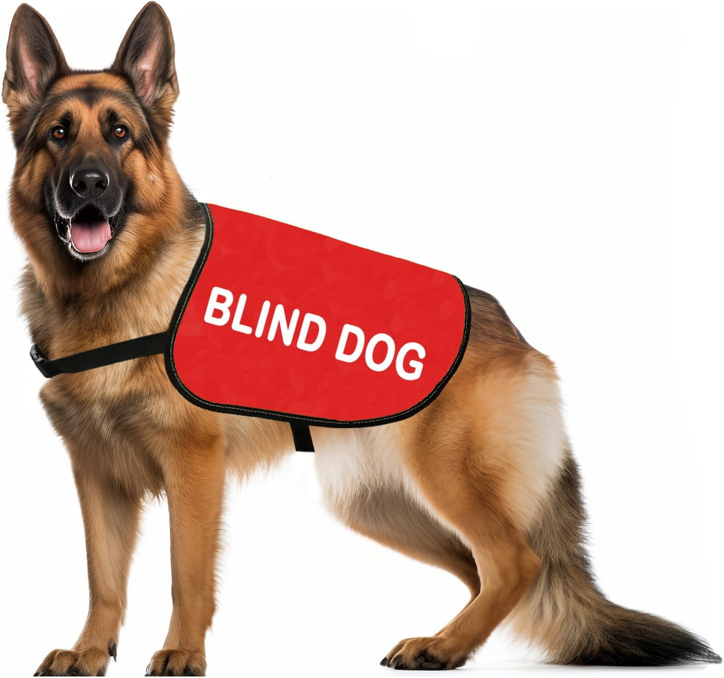 Jacket/Vest (Large) - "Blind Dog"