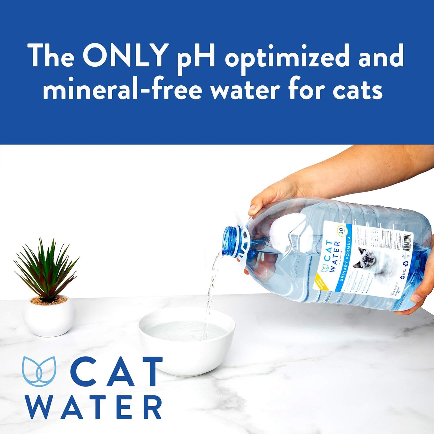 CATWATER by VETWATER 16.9oz - 12 PACK