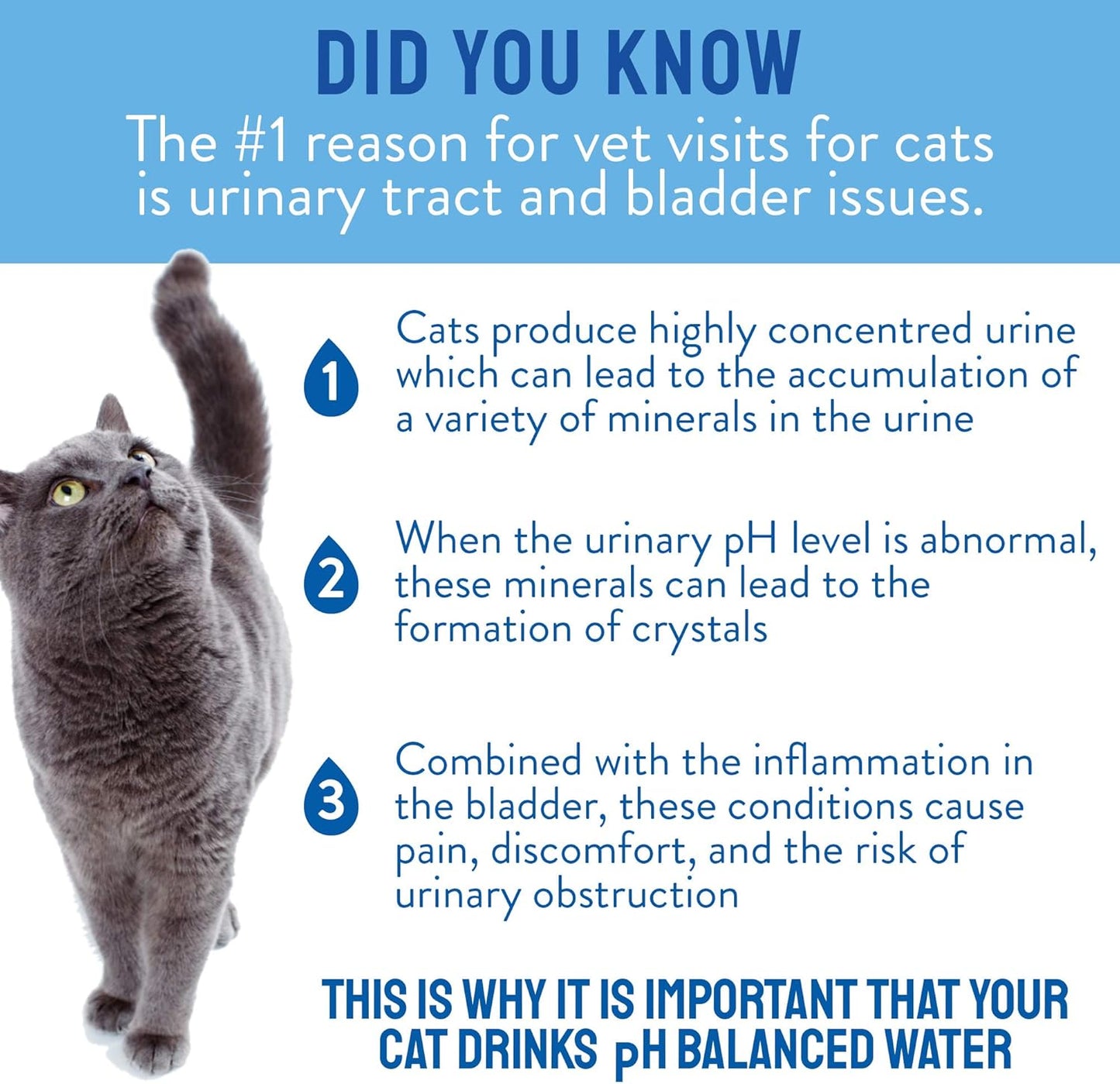 CATWATER by VETWATER 16.9oz - 12 PACK