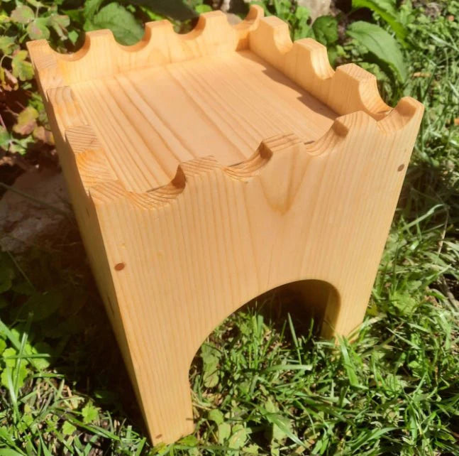 Rabbit Castle with Bridge