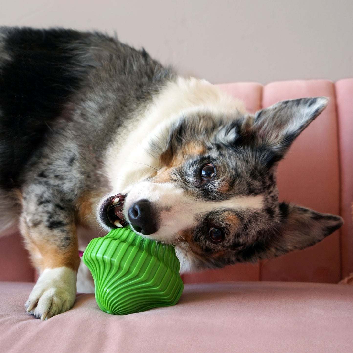 KONG Orbitz Spin Top Toy (S)
