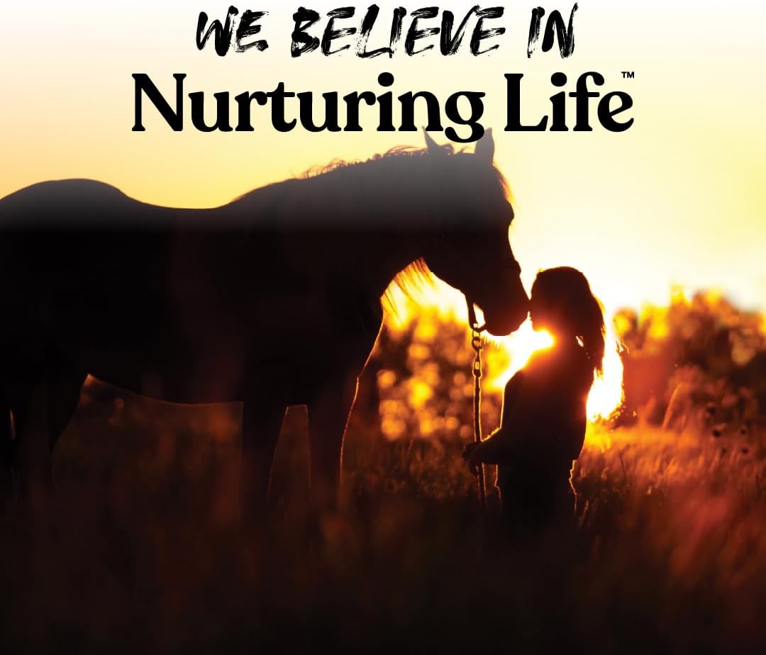 MANNAPRO Apple Bite-Size Nuggets Horse Treats - 4lb