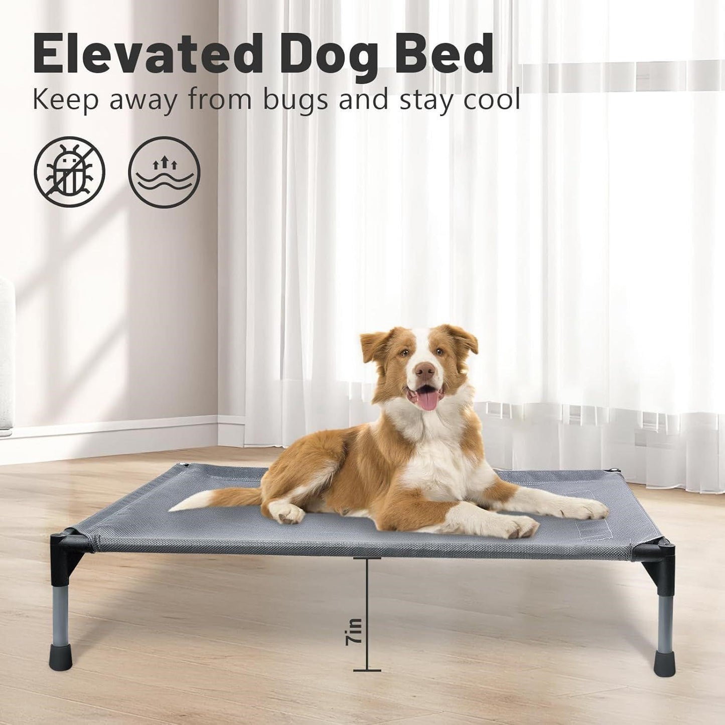 Medium Elevated Dog Bed