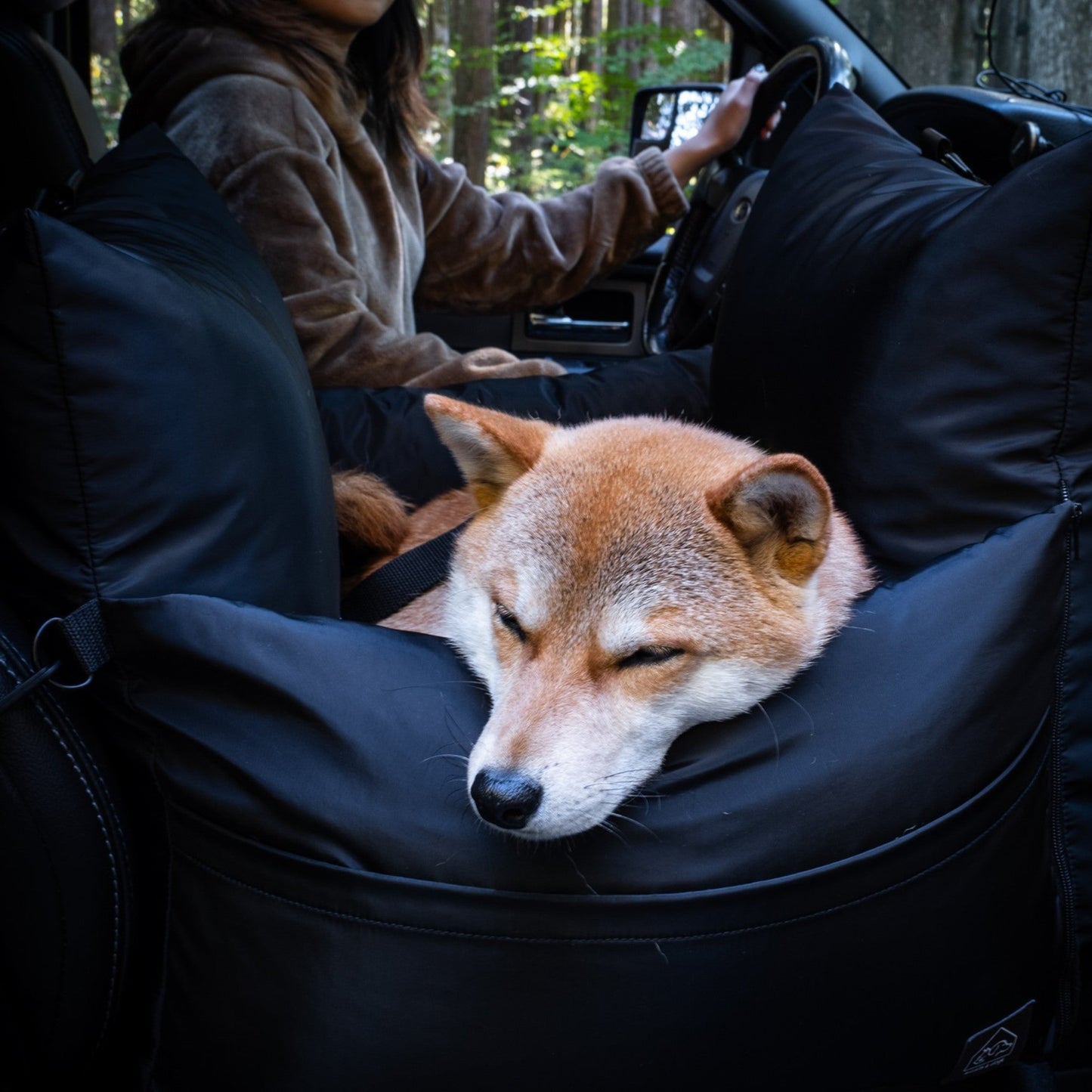 marco travel pet bed