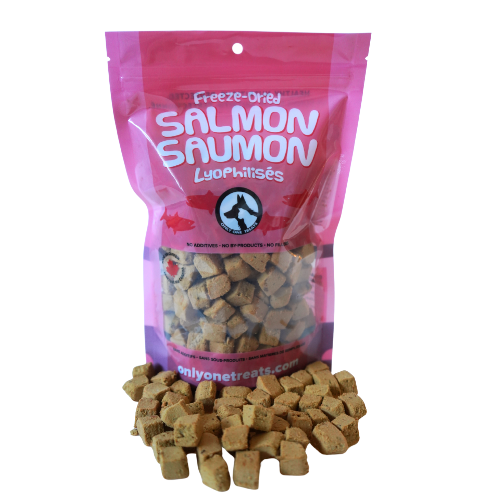 Freeze-Dried Salmon 85g