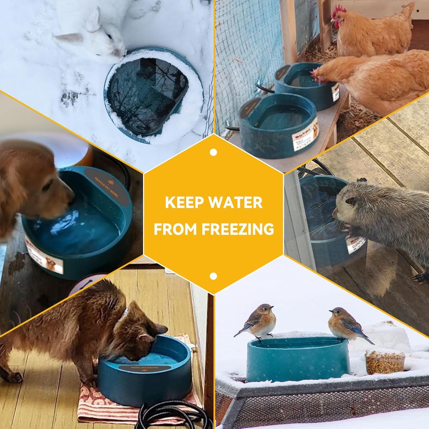 PETLESO Heated Pet Bowl with Antibite Wire/Cord - 2.2L, 35W