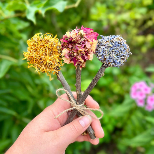 Apple Stick Lollipop Boutique