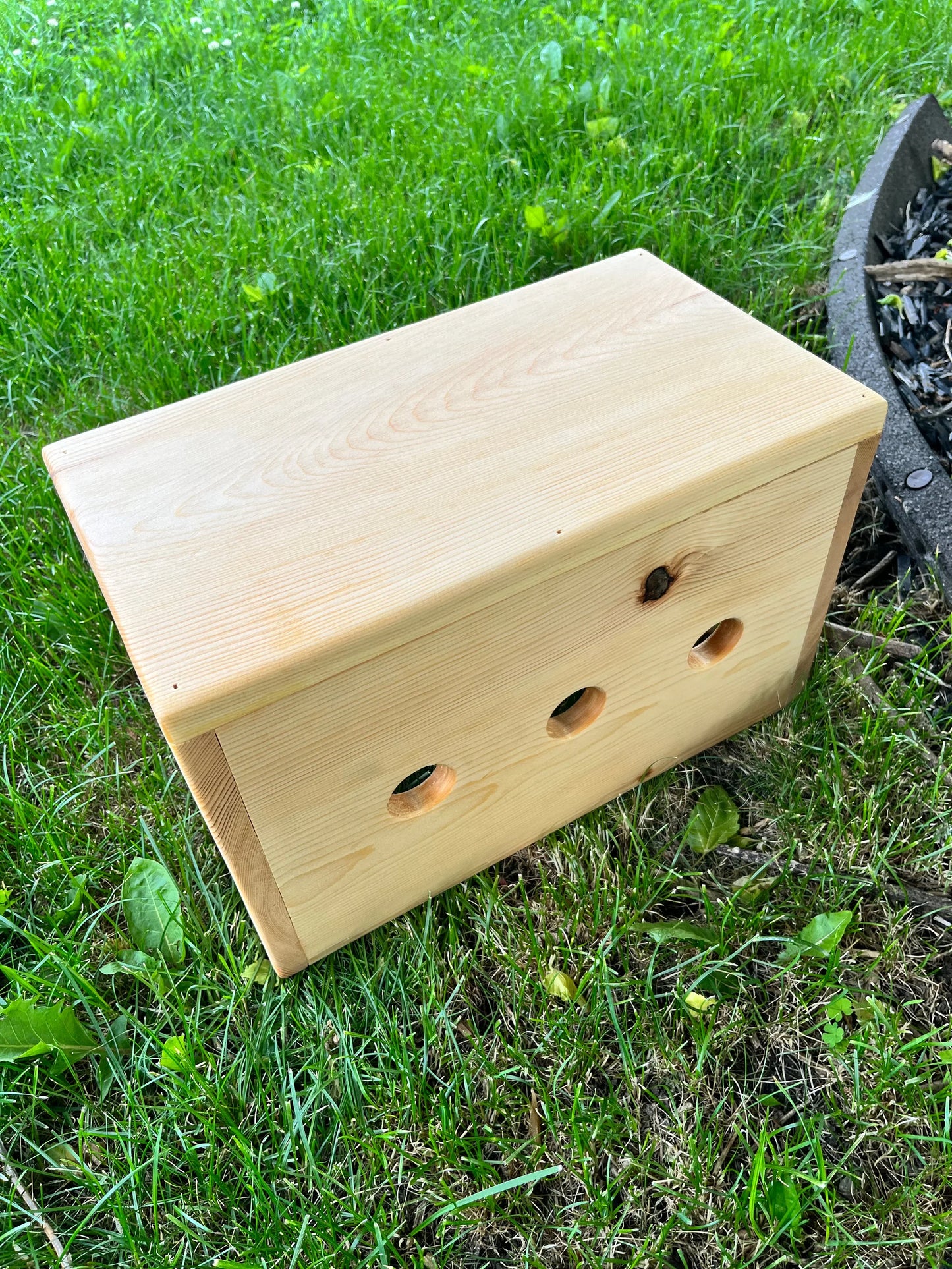 Rabbit Hidey House & Tunnel