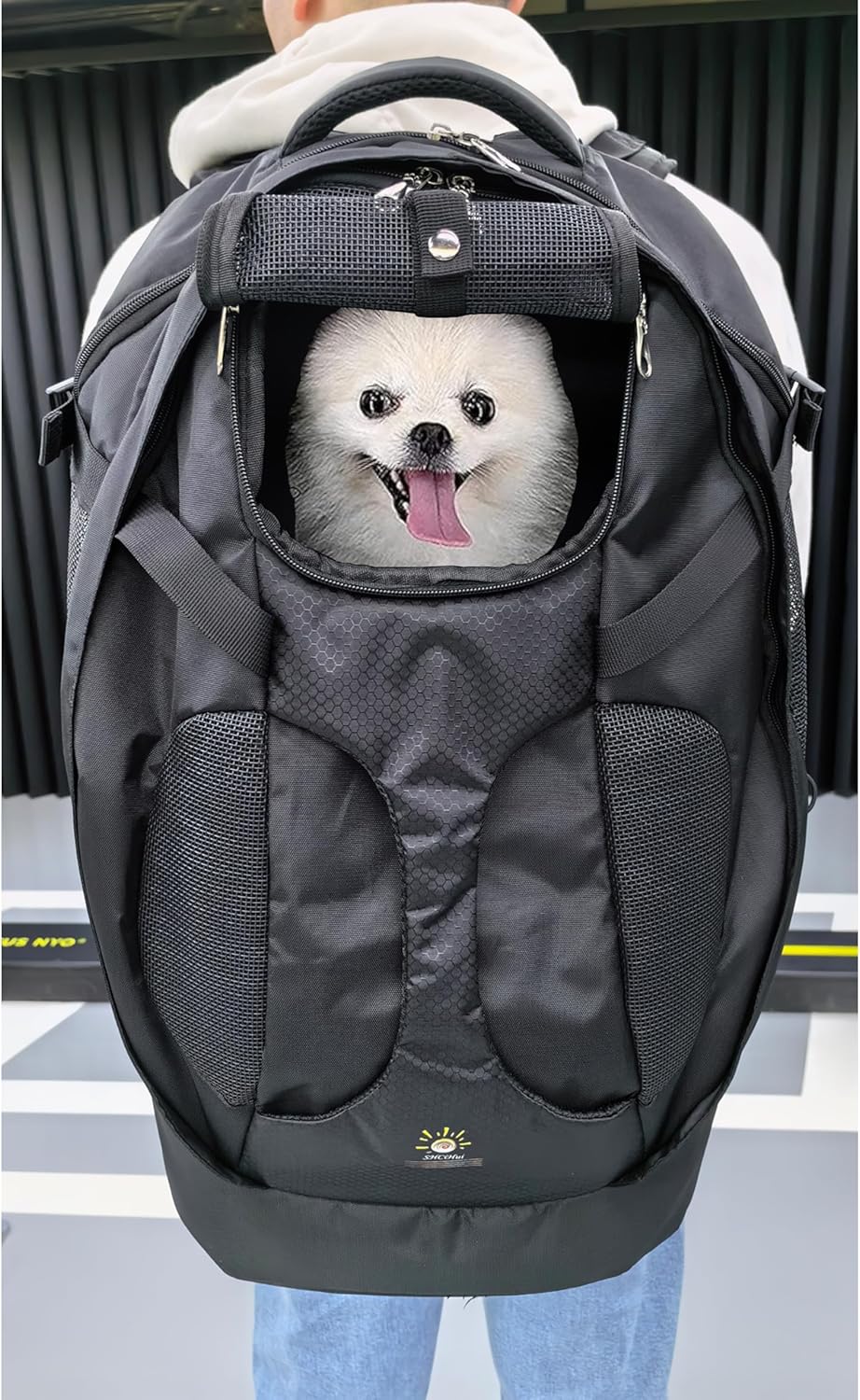 Pet Travel Backpack - Large