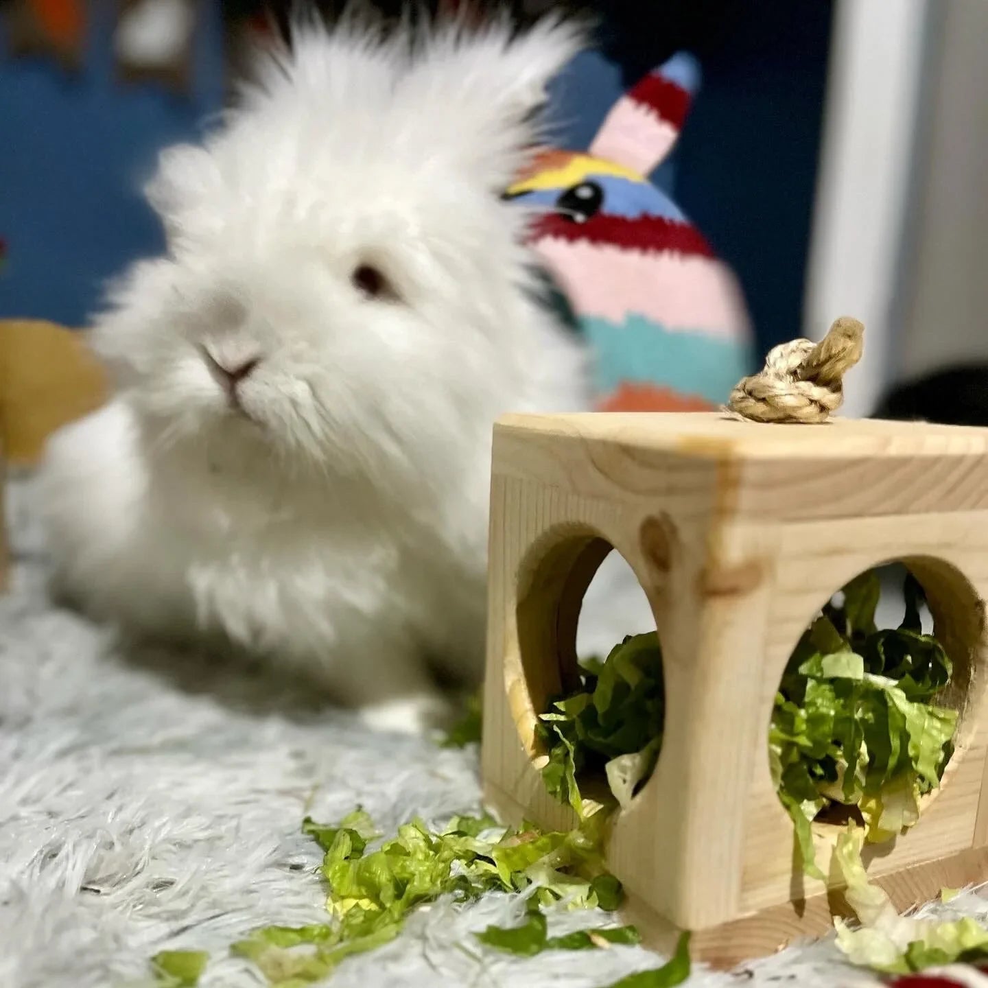 Small Animal Hay Cube
