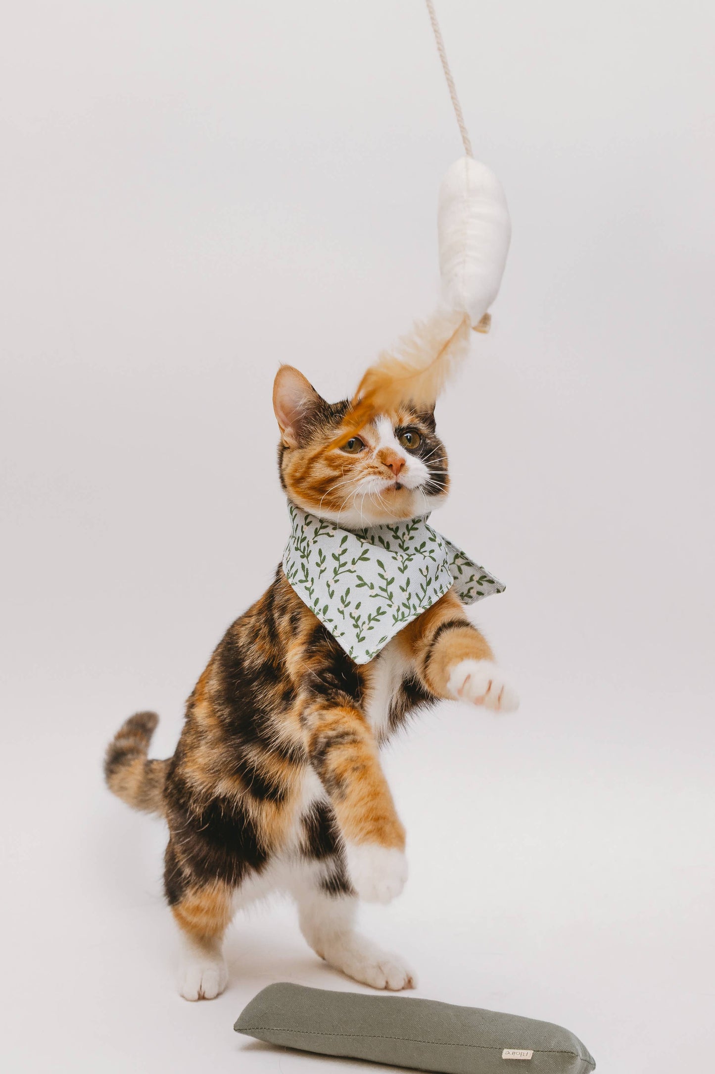 BLOIRE Bandana - Fur-get-me-not