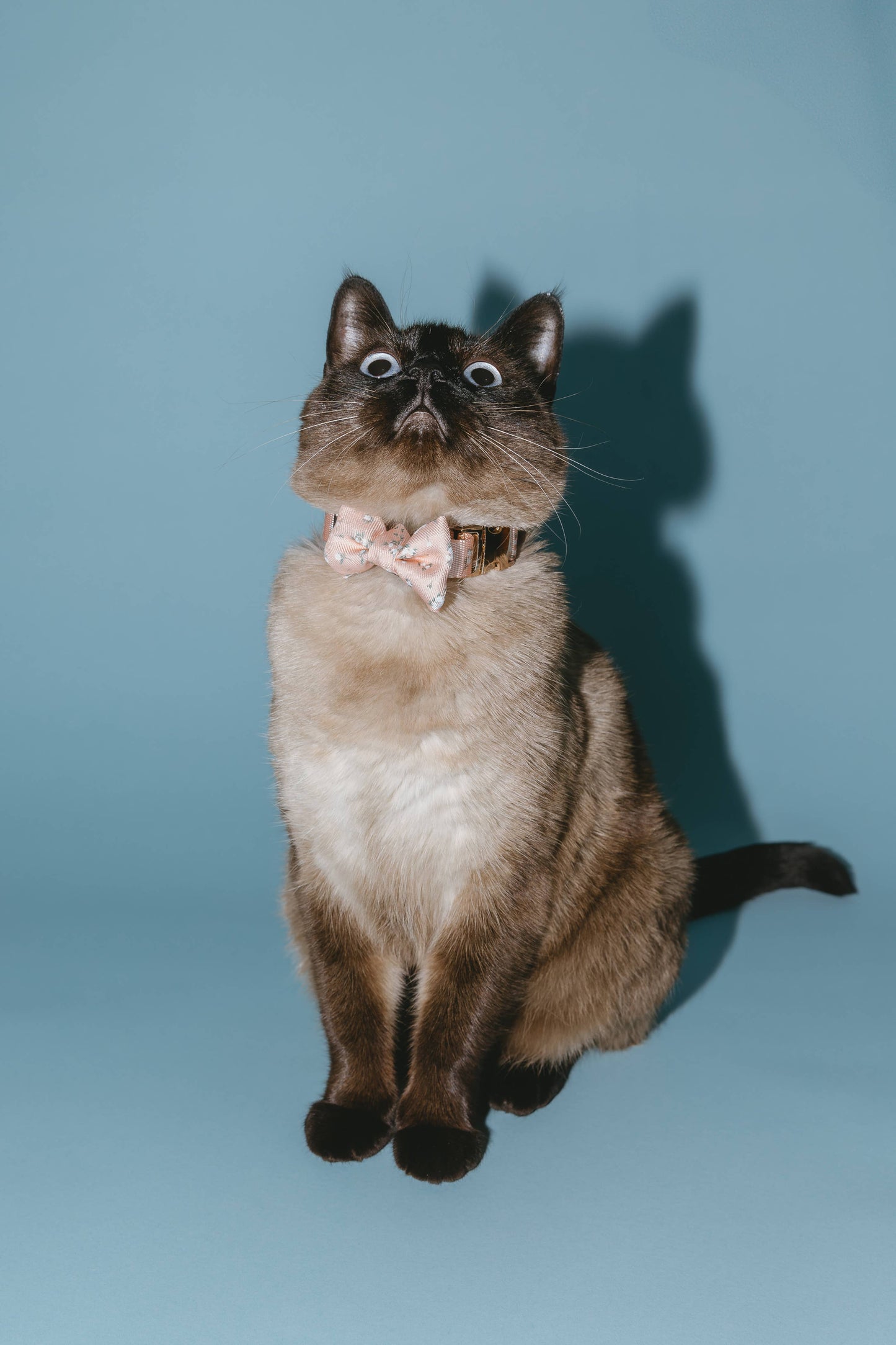 BLOIRE Bowtie - Meadow