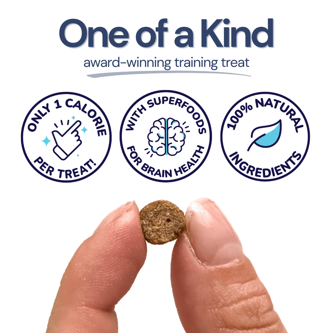 Beef Mini Training Treats