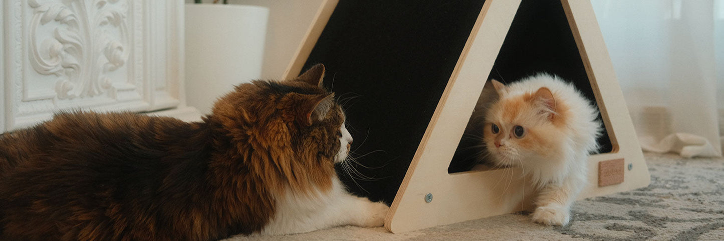 Noba Origin Scratchable Teepee Cat House