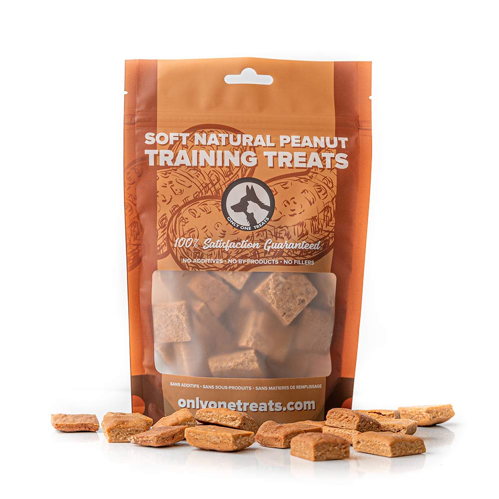 Soft Natural Peanut Training Treats 170g